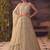 beige net embroidered Lehenga set