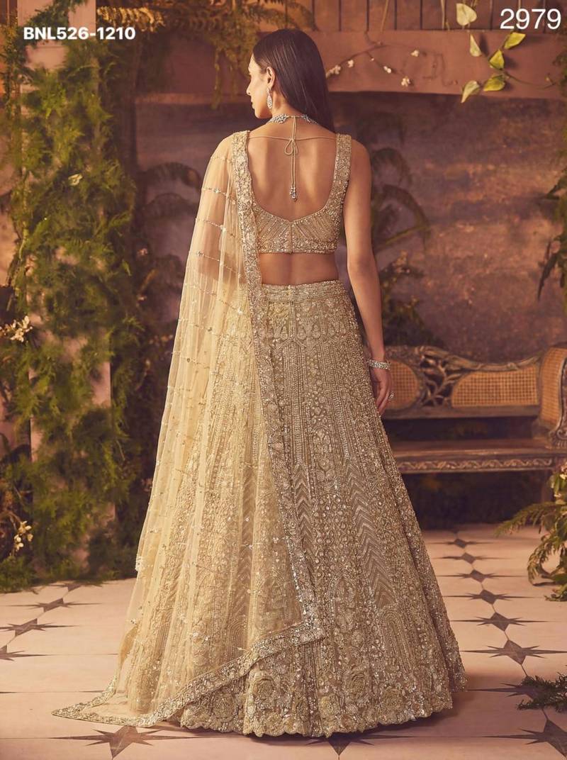 beige net embroidered Lehenga set