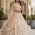 light peach net embroidered Lehenga set