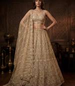 beige net embroidered Lehenga set