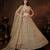 beige net embroidered Lehenga set