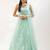 aqua blue net embroidered Lehenga set