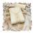 Glass organza embroidered suit set with handwork & muslin banarasi digital dupatta