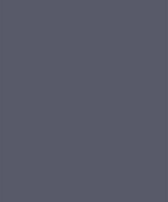 Grey Embroidered Crepe Lehenga Set 4