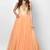 Peach net sleevless embroidered gown