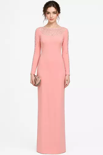Pink georgette long sleeve embroidered gown
