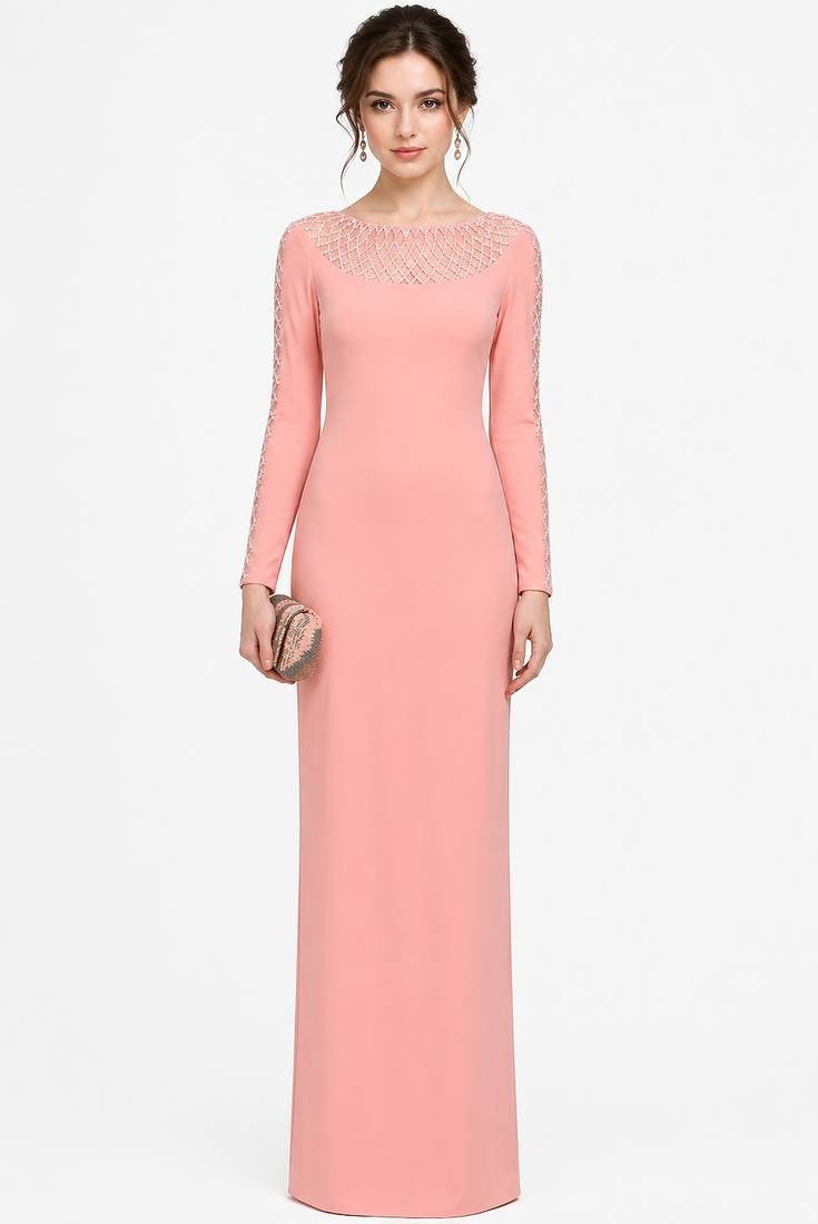 Pink georgette long sleeve embroidered gown