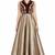 Golden silk sleevless embroidered gown