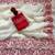 Red Color embroidery pallu work Silk Saree