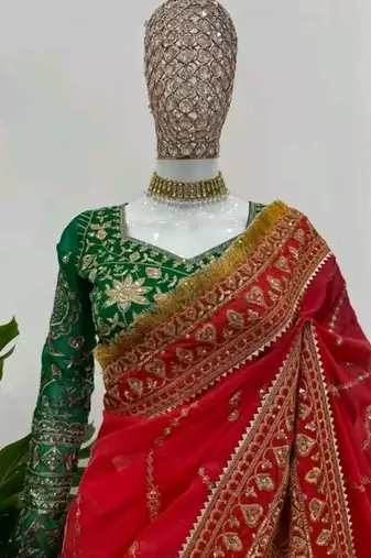 Red Color embroidery design work organza saree