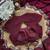Wine Color Embroidery design work Silk Saree