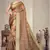 Brown cotton silk digital print designer saree