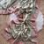 Mahendi-green Color Viscose Embroidery Work  Silk Saree