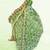 Green embroidered potli bags – handcrafted wedding potli with beads