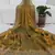 Mehndi Green Color hand Dimond work chiffon saree 