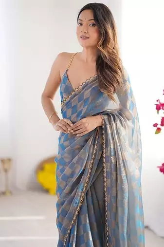 Grey Color zarkhan work  chiffon Saree