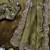 Mehndi Green Color embroidery sequence work chiffon Saree