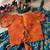 Designer viscose natural crepe position with kalamkari work gown koti