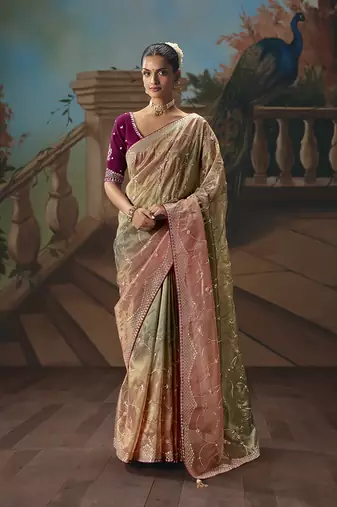 Multicolor fancy fabric saree with embroidered work