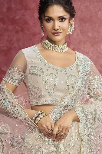 Off white net embroidered work saree