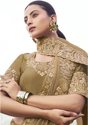 Chiku embroidered banarasi silk blend saree 2