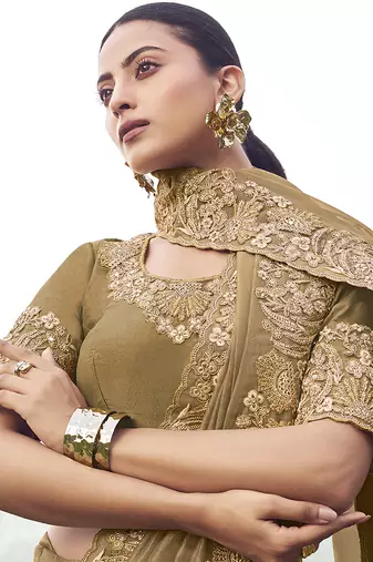 Chiku embroidered banarasi silk blend saree