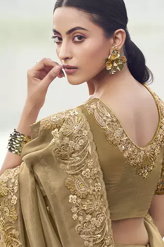 Chiku embroidered banarasi silk blend saree