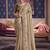 Chiku viscose zari tissue silk blend embroidered saree