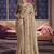 Chiku viscose zari tissue silk blend embroidered saree