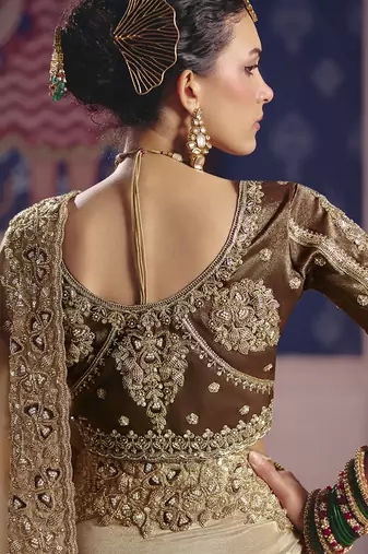 Chiku viscose zari tissue silk blend embroidered saree