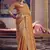 Orange viscose zari tissue silk blend embroidered saree