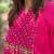 Floral embroidered cotton round neck pink kurta & trouser set