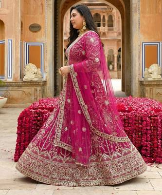 Designer Butterfly Net Lehenga Choli with Sequins & Cording Embroidery Work 3