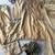 golden embroidered salwar suit dupatta