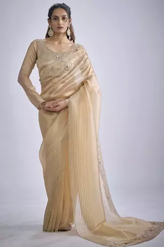 Beige sequin embellished border work silk saree for women