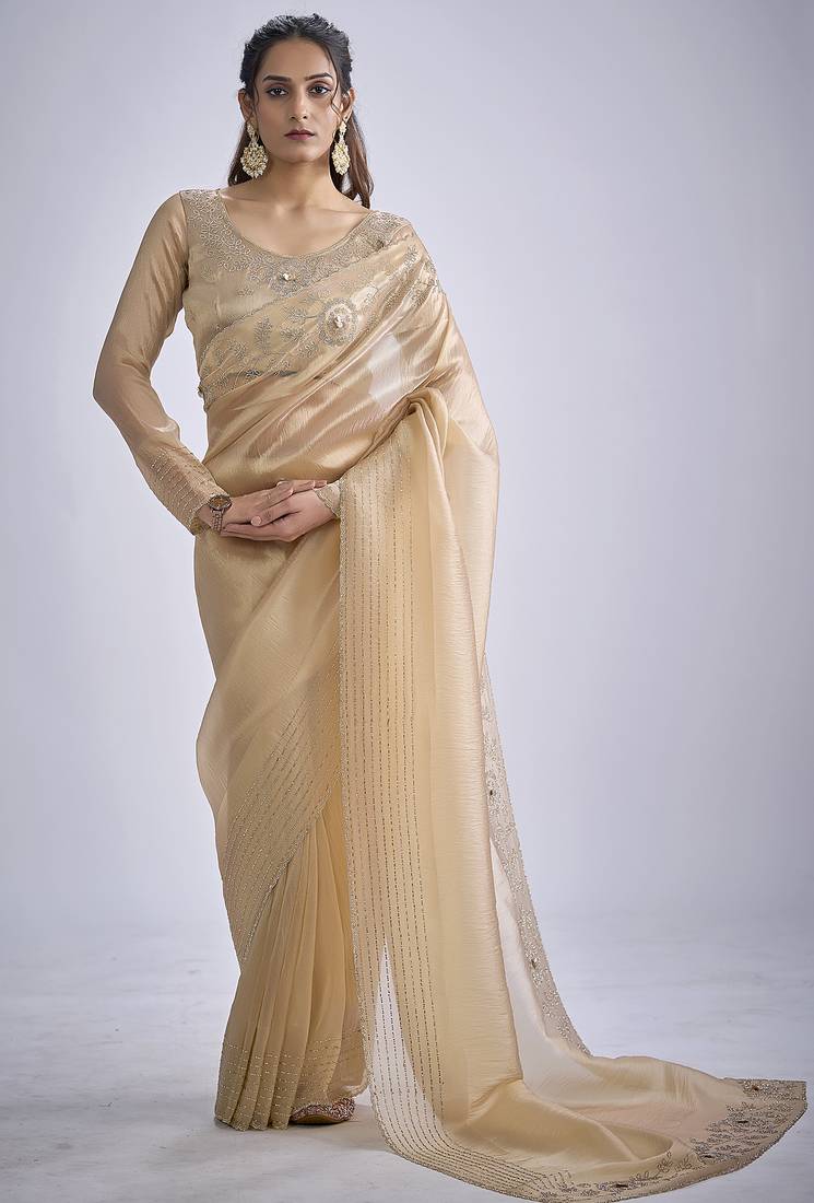 Beige sequin embellished border work silk saree for women
