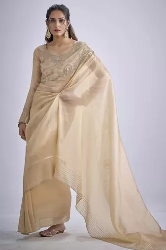 Beige sequin embellished border work silk saree for women