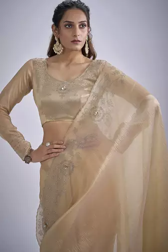 Beige sequin embellished border work silk saree for women
