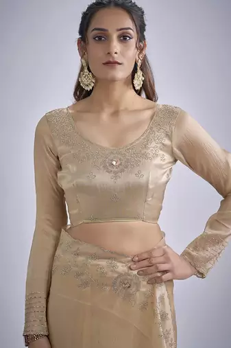 Beige sequin embellished border work silk saree for women