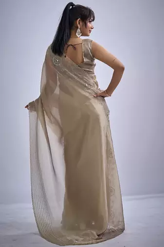 Beige sequin embellished border work silk saree for women