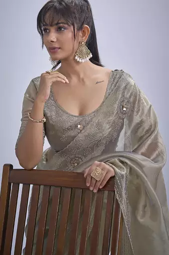 Beige sequin embellished border work silk saree for women