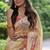 Light yellow tussar silk floral printed saree with blouse