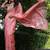 Peach tussar silk floral printed saree with blouse