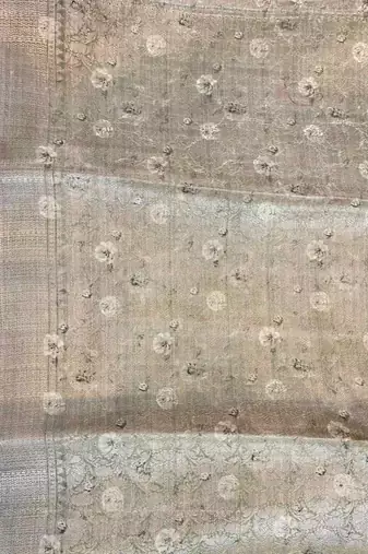 Banarasi digital print cotton silk saree in lightgrey with   zari booti  work