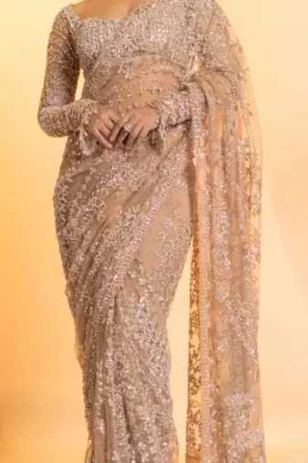 Light beige net saree with sequins embroidery work