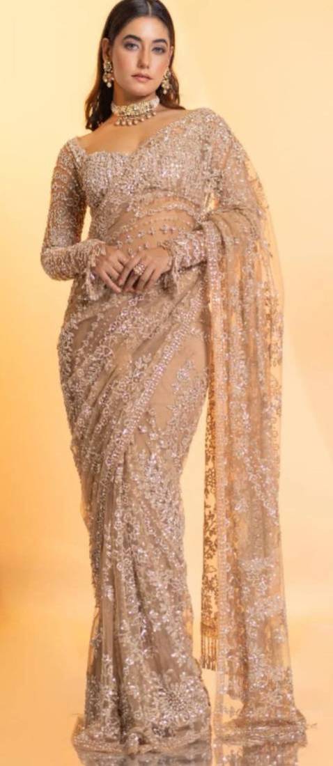 Light beige net saree with sequins embroidery work