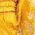 Mustard yellow embroidered chanderi lehenga set