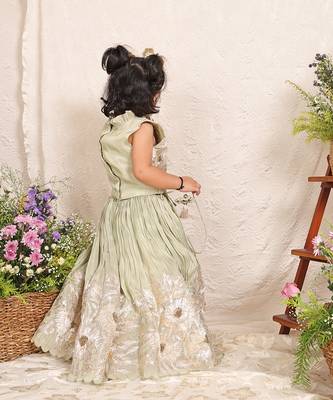 Pastel green embroidered banarasi silk lehenga set 2