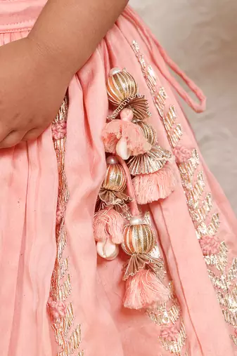 Pink embroidered chanderi lehenga set