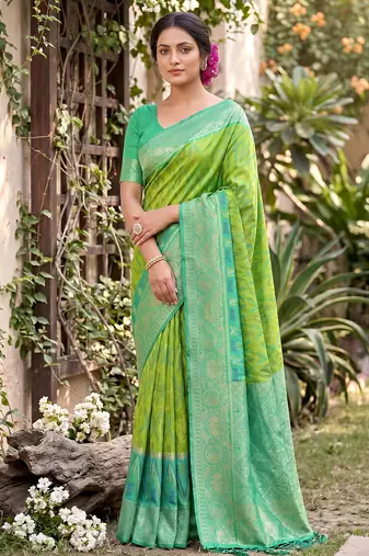 light green pochampalli silk blend saree 